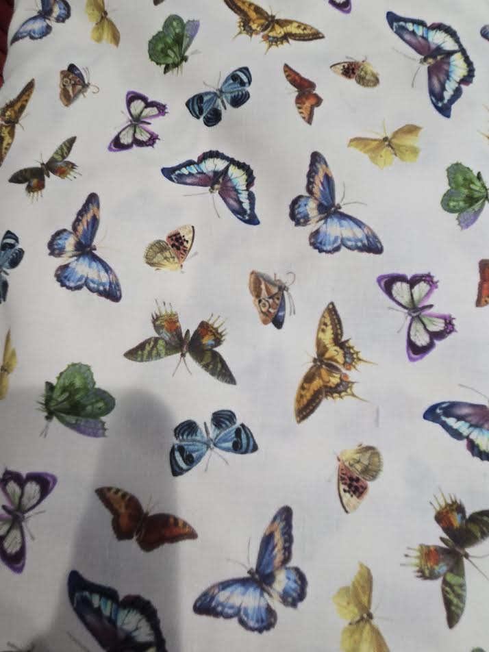 Michael Miller | Bright Butterfly |