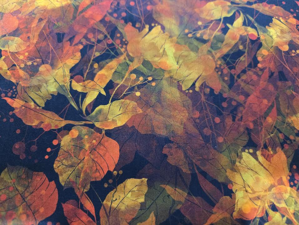 In The Beginning | Reflections of Autumn II | 29 RA 1