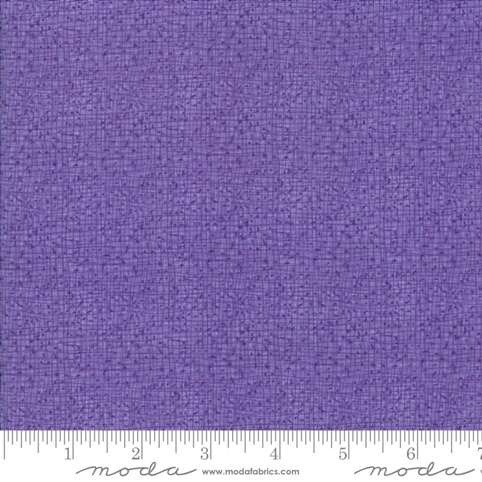 MODA | Thatched | Aster
