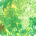 Kaufman | Wild Bloom | Sweet Pea