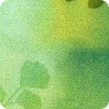 Kaufman | Misty Garden | Fern