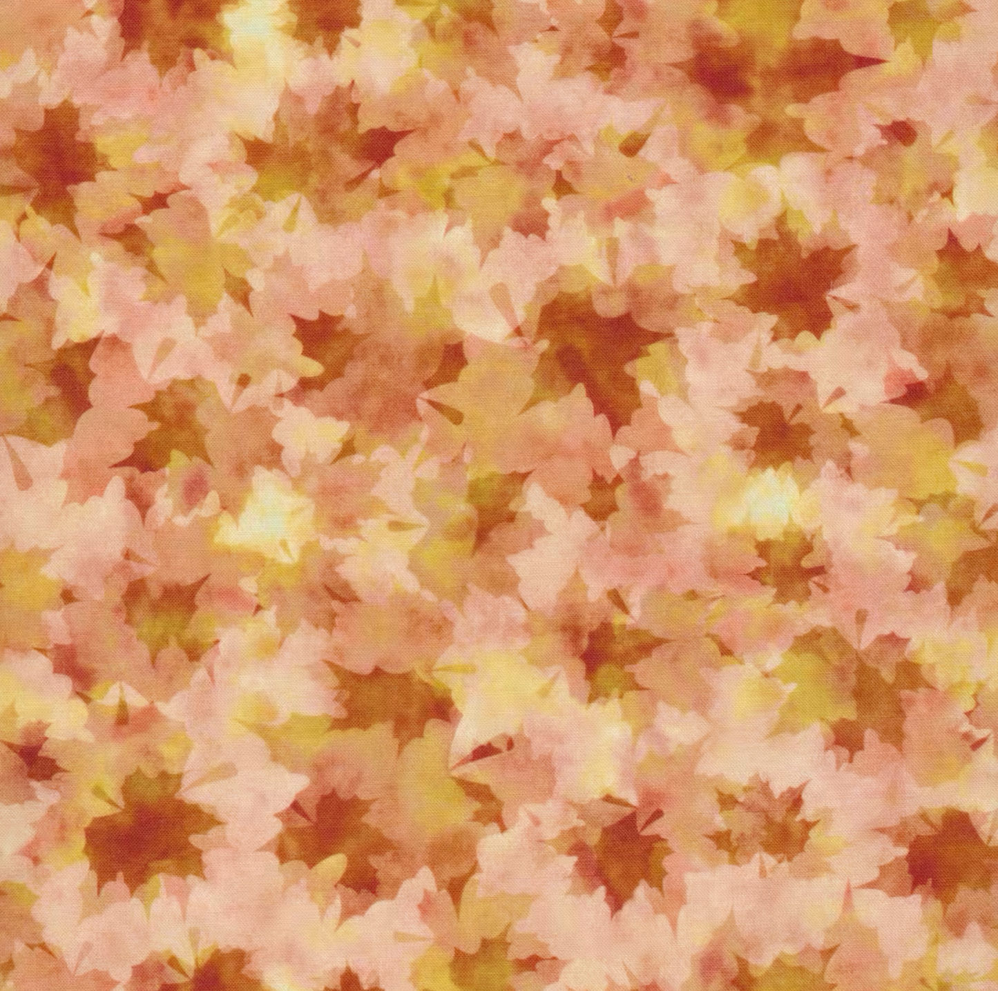 IN THE BEGINNING | Reflections of Autumn | Shadow Maple | 29RA1