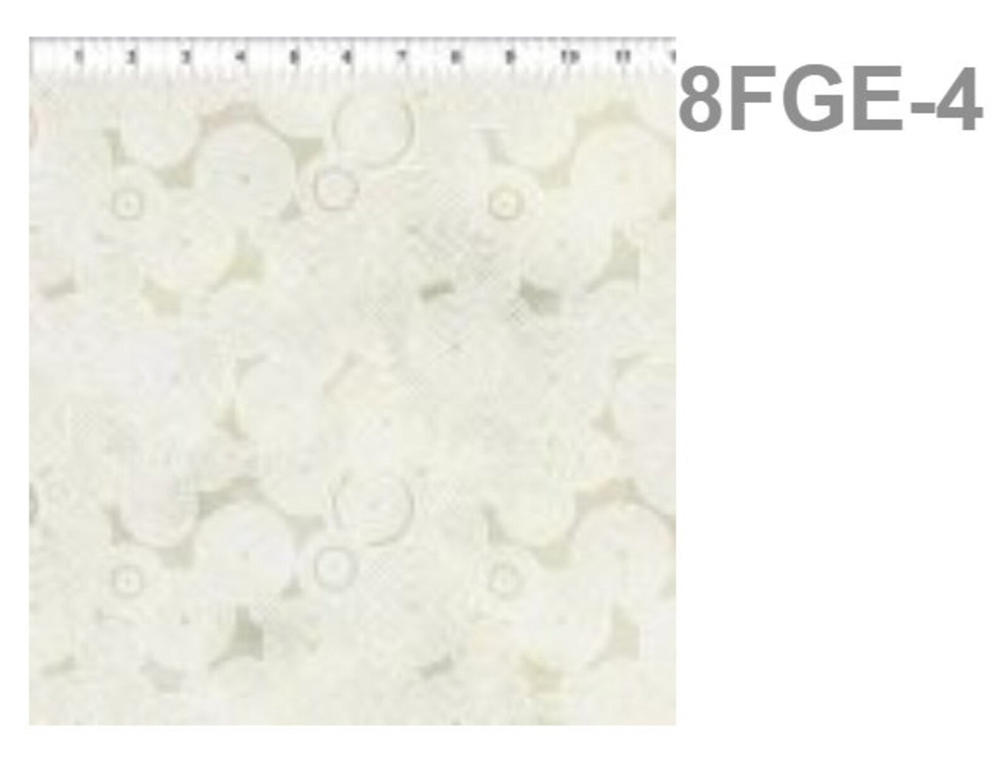 IN THE BEGINNING | Floragraphic | Cream | 8FGE4