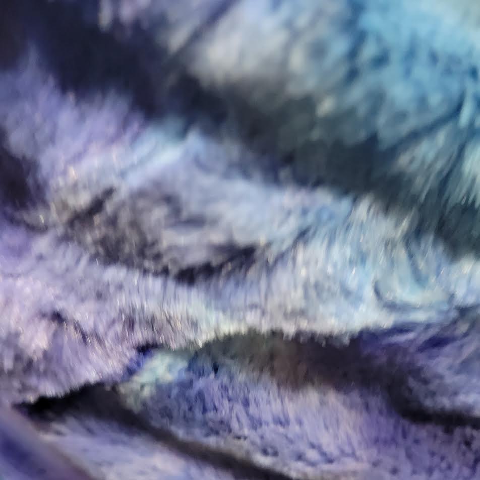 SHANNON CUDDLE | Amelia