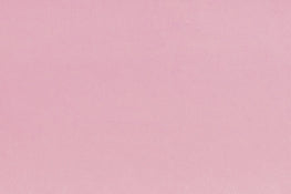 Shannon | Quilting Cuddle | Solid | Seashell