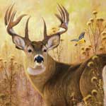 Elizabeth Studios |Deer Panel