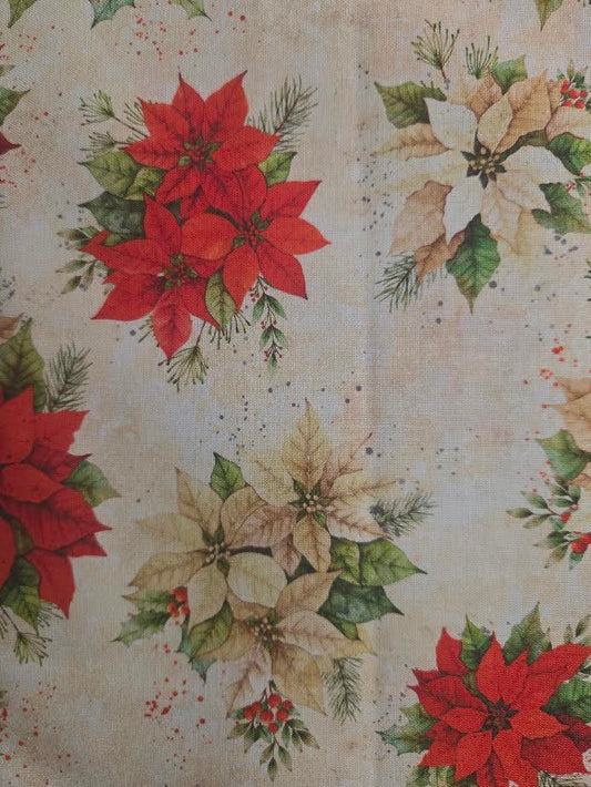 White Owl | Poinsettias on Cream