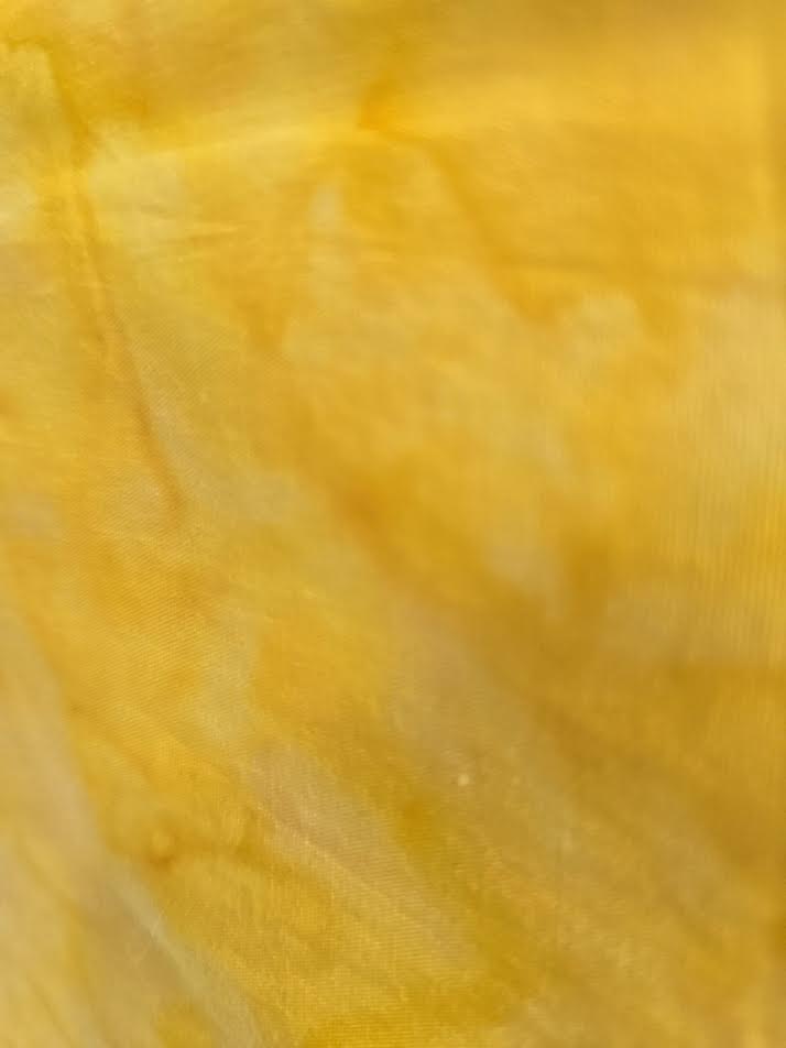 Timeless Treasures | Batik | Daffodil