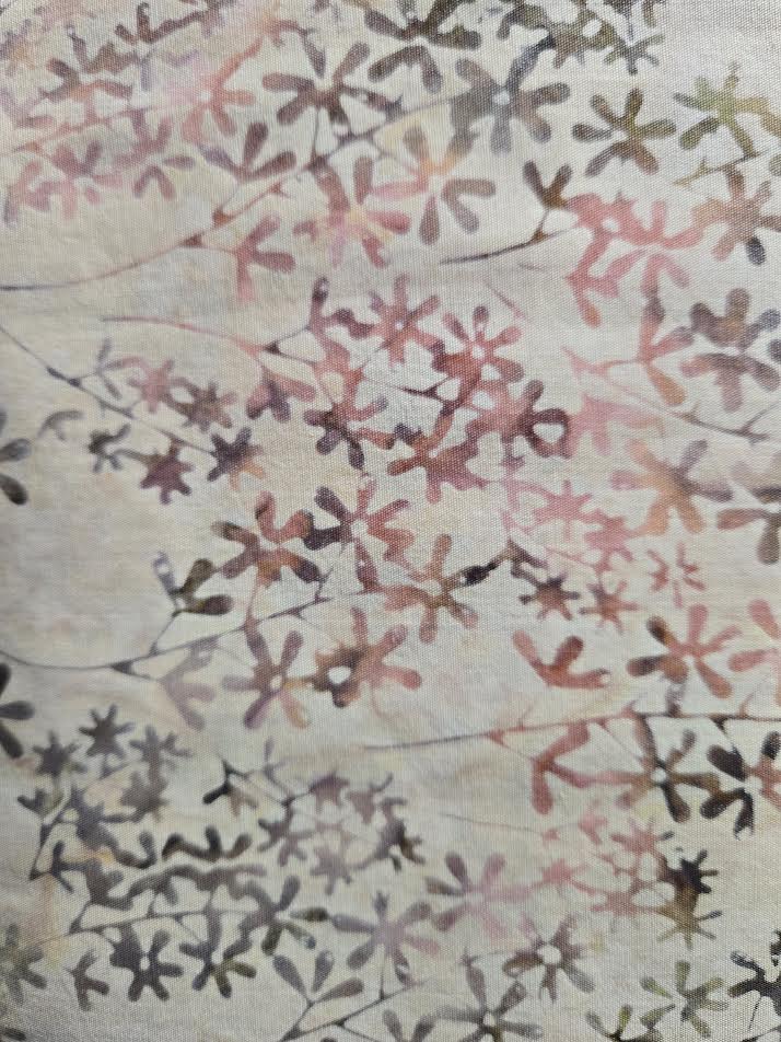 Timeless Treasures | Apricot