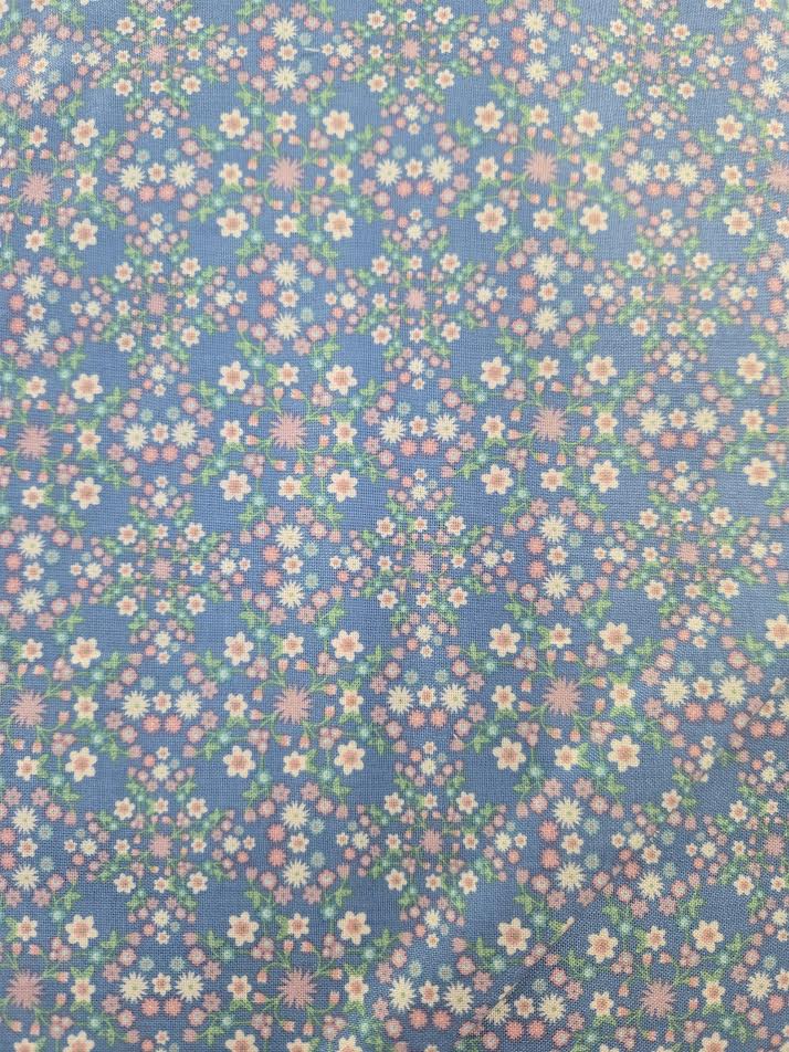 Poppie Cotton | Blooms and Vines | Blue Background