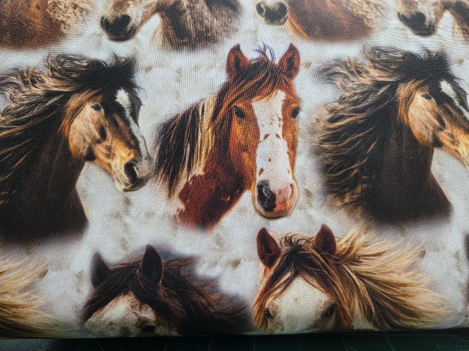 Spurs and Spirits | Horses