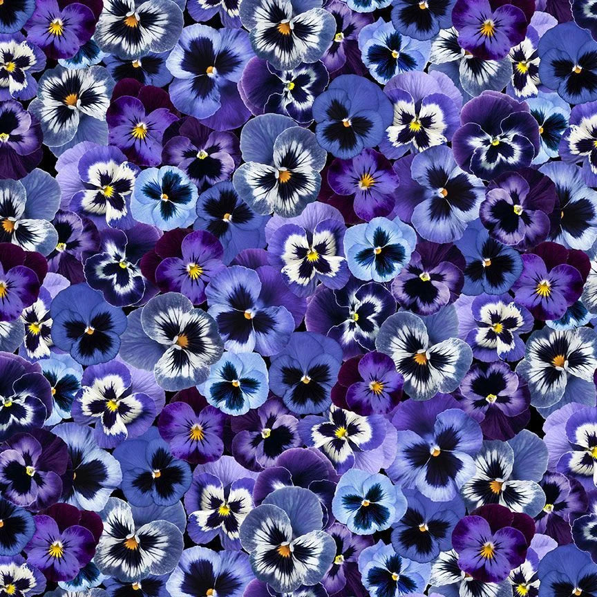 TIMELESS TREASURES | Pansy | Multi