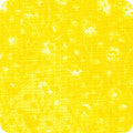 Kaufman | Fusions #4 | Daffodil