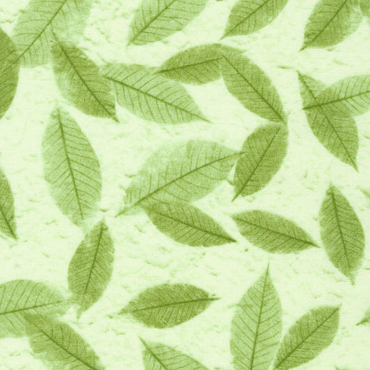 KAUFMAN | Natural Textures | Green